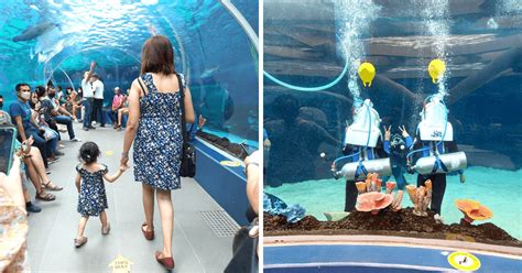 holidays in cebu|National Holidays in Cebu in 2024 .